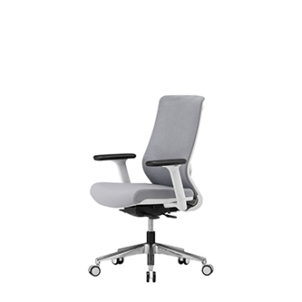 N610